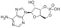 腺苷环磷酸酯结构式_60-92-4结构式