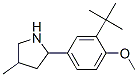 (9CI)-2-[3-(1,1-二甲基乙基)-4-甲氧基苯基]-4-甲基-吡咯烷结构式_603068-79-7结构式