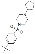 (9ci)-1-环戊基-4-[[4-(1,1-二甲基乙基)苯基]磺酰基]-哌嗪结构式_606133-93-1结构式