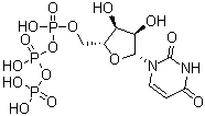 尿苷-5-三磷酸结构式_63-39-8结构式