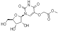 Uridine-5-oxyacetic acid methyl ester Structure,66536-81-0Structure
