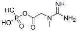 磷酸肌酸结构式_67-07-2结构式
