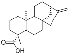 贝壳杉烯酸/异贝壳杉烯酸结构式_6730-83-2结构式
