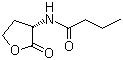 丁酰-L-高丝氨酸内酯结构式_67605-85-0结构式