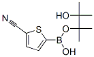 5-(4,4,5,5-四甲基-1,3,2-二氧硼烷)-2-噻吩甲腈结构式_676501-85-2结构式