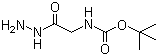 Boc-甘氨酸酰肼结构式_6926-09-6结构式