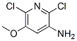 3-氨基-2,6-二氯-5-甲氧基吡啶结构式_720666-44-4结构式