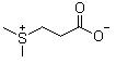 硫代甜菜碱结构式_7314-30-9结构式