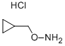 Cyclopropyl methoxylamine hydrochloride Structure,74124-04-2Structure