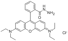 罗丹明B酰肼结构式_74317-53-6结构式