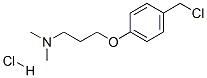 3-[4-(氯甲基)苯氧基]-N,N-二甲基丙胺盐酸盐结构式_769123-68-4结构式