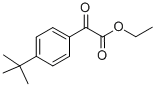 2-(4-叔丁基苯基)乙醛酸乙酯结构式_80120-36-1结构式