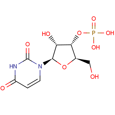 尿苷酸结构式_84-53-7结构式