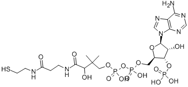 辅酶 A结构式_85-61-0结构式