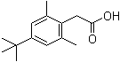 盐酸赛洛唑啉杂质F结构式_854646-92-7结构式