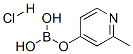 2-甲基吡啶-4-硼酸盐酸盐结构式_861905-97-7结构式