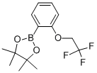 4,4,5,5-四甲基-2-[2-(2,2,2-三氟-乙氧基)-苯基]-[1,3,2]二噁硼烷结构式_864754-11-0结构式