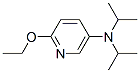 2-乙氧基-5-(N,N-二异丙基)氨基吡啶结构式_871269-05-5结构式