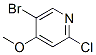 5-溴-2-氯4-甲氧基吡啶结构式_880870-13-3结构式