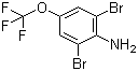 3,5-二溴-4-氨基三氟甲氧基苯结构式_88149-49-9结构式