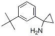 1-[3-(1,1-二甲基乙基)苯基]-环丙胺结构式_900802-72-4结构式