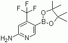 2-氨基-4-(三氟甲基) 吡啶-5-硼酸频那醇酯结构式_944401-57-4结构式