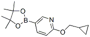 6-(环丙基甲氧基)吡啶-3-硼酸频哪醇酯结构式_947191-69-7结构式