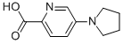 5-吡咯烷-1-吡啶-2-羧酸结构式_950603-19-7结构式