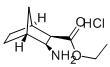 乙基3-外双环氨基[2.2.1]庚烷-2-外羧酸盐酸盐结构式_95630-75-4结构式