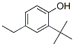 2-(1,1-二甲基乙基)-4-乙基酚结构式_96-70-8结构式