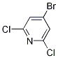 4-溴-2,6-二氯吡啶结构式_98027-80-6结构式