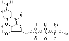腺苷-5-三磷酸二钠盐结构式_987-65-5结构式