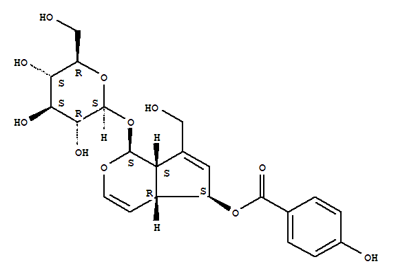 6-邻对羟基苯甲酰基桃叶珊瑚苷结构式_1016987-87-3结构式