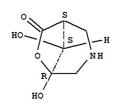 (1S,5R,8S)-(9Ci)-5,8-二羟基-6-噁-3-氮杂双环[3.2.1]-7-辛酮结构式_355117-74-7结构式