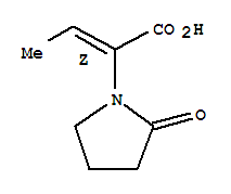 (2Z)-2-(2-oxo-1-pyrrolidinyl)-2-butenoic acid Structure,358629-39-7Structure