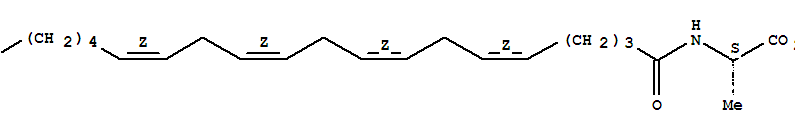 N-[(5z,8z,11z,14z)-1-oxo-5,8,11,14-eicosatetraen-1-yl]-l-alanine Structure,401941-73-9Structure