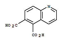 5,6-喹啉二甲酸结构式_855764-12-4结构式