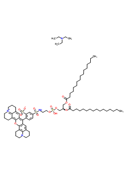 磺基玫瑰精 101 1,2-二棕榈酰-Sn-甘油-3-磷酰乙醇胺三乙基铵盐结构式_187099-99-6结构式