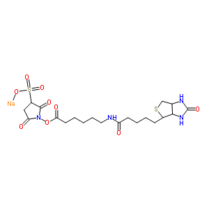 钠2,5-二氧代-1-[(6-{[5-(2-氧代六氢-1H-噻吩并[3,4-d]咪唑-4-基)戊酰]氨基}己酰)氧基]-3-吡咯烷磺酸酯结构式_191671-46-2结构式