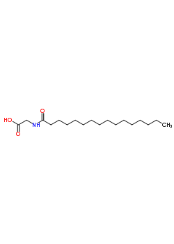 Palmitoyl glycine Structure,2441-41-0Structure