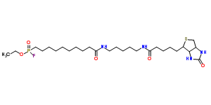 FP-生物素结构式_259270-28-5结构式