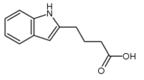 吲哚-2-丁酸结构式_29873-09-4结构式