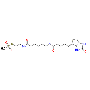 N-biotinylcaproylaminoethyl methanethiosulfonate Structure,353754-95-7Structure