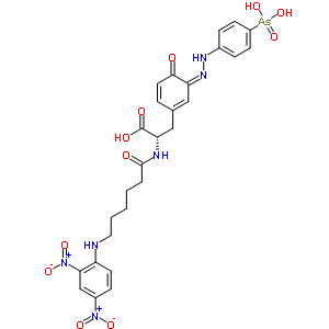 (2S)-3-[(3Z)-3-[(4-砷苯基)亚肼基]-4-氧代-1-环己-1,5-二烯基]-2-[6-[(2,4-二硝基苯基)氨基]己酰氨基]丙酸结构式_38337-12-1结构式