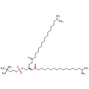 1,2-异硬脂酰磷脂酰胆碱结构式_58045-79-7结构式