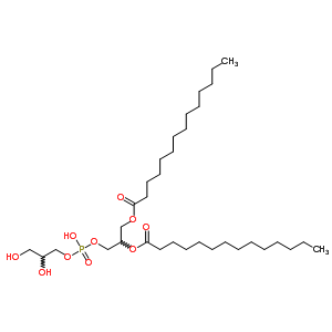 Dimyristoylphosphatidylglycerol Structure,61361-72-6Structure