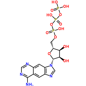 苯并腺苷三磷酸酯结构式_61925-58-4结构式