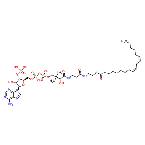 亚麻酰基辅酵素 a结构式_6709-57-5结构式