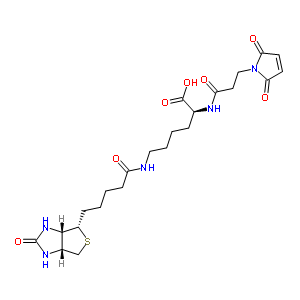3-(N-马来酰亚胺基丙酰)生物胞素结构式_98930-71-3结构式