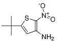 3-氨基-5-叔丁基-2-硝基-噻吩结构式_1021443-95-7结构式